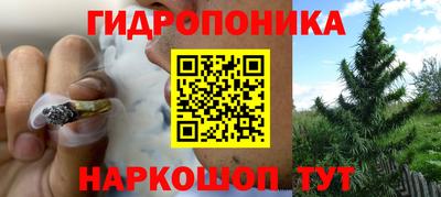 сатива Первоуральск