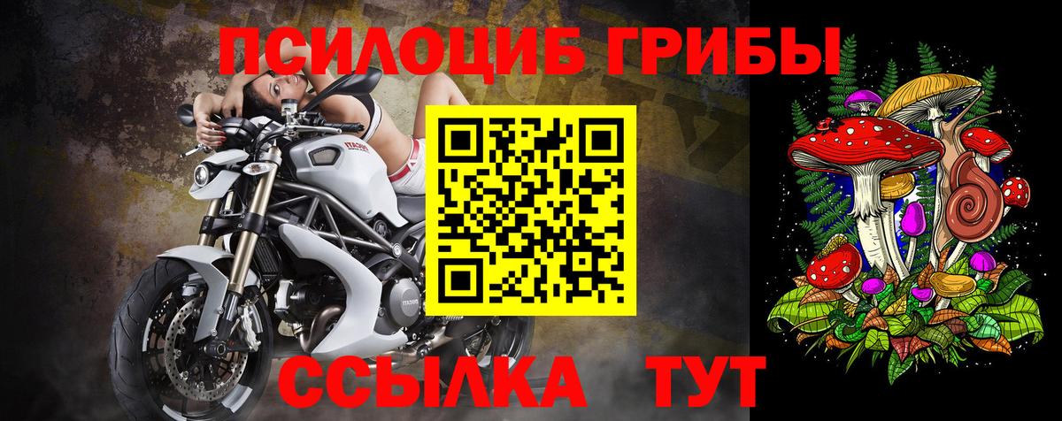 Псилоцибиновые грибы Magic Shrooms  купить наркоту  Сатка  Вход с VPN 